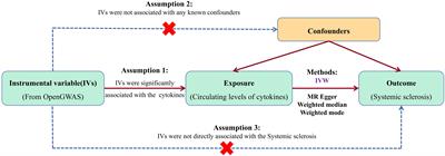 Associations of the circulating levels of cytokines with risk of systemic sclerosis: a bidirectional Mendelian randomized study